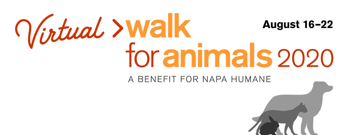 Walk For Animals 2020 Silent Auction